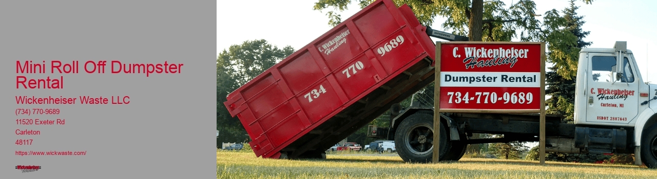 Mini Roll Off Dumpster Rental